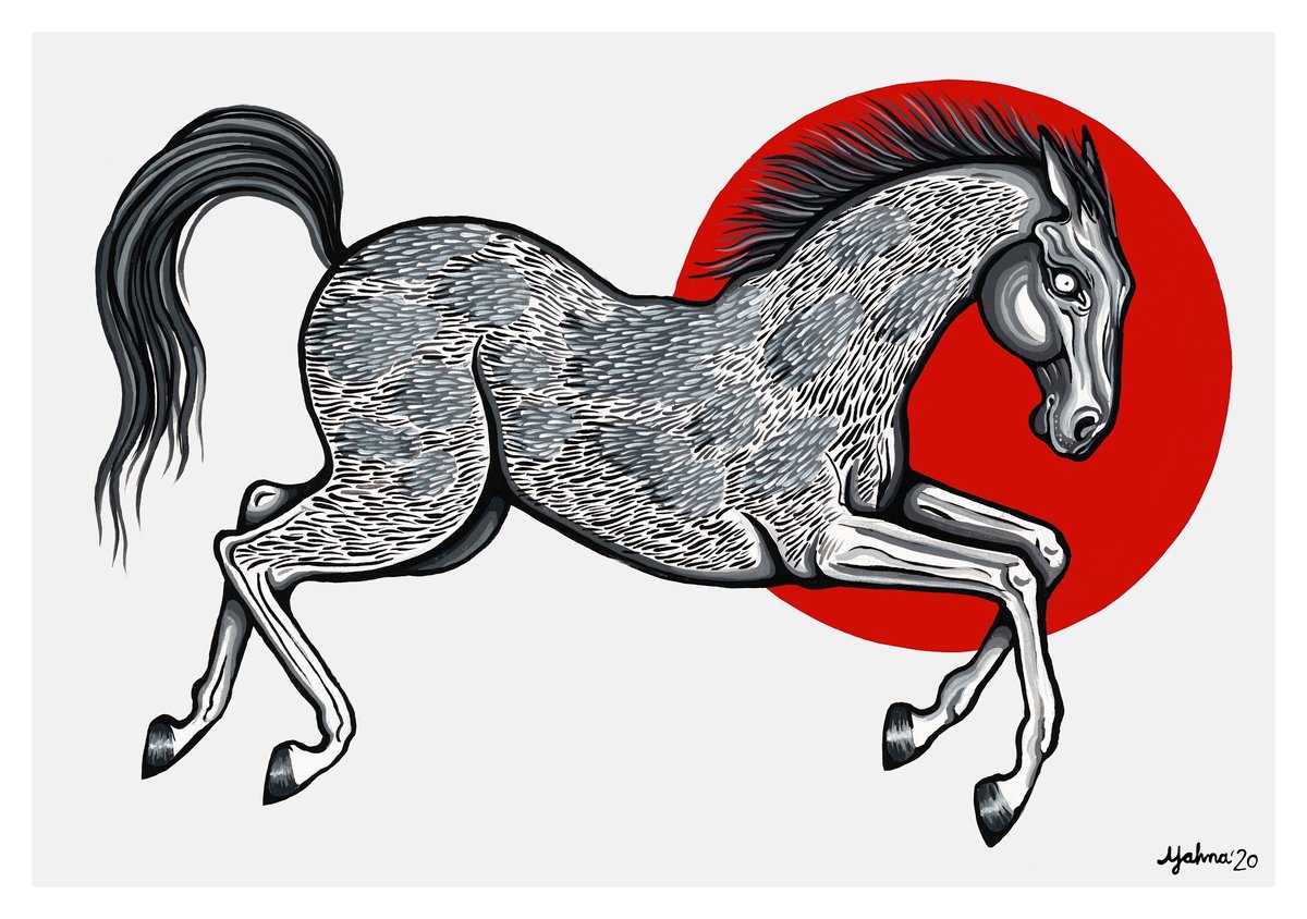 Image of Horse White