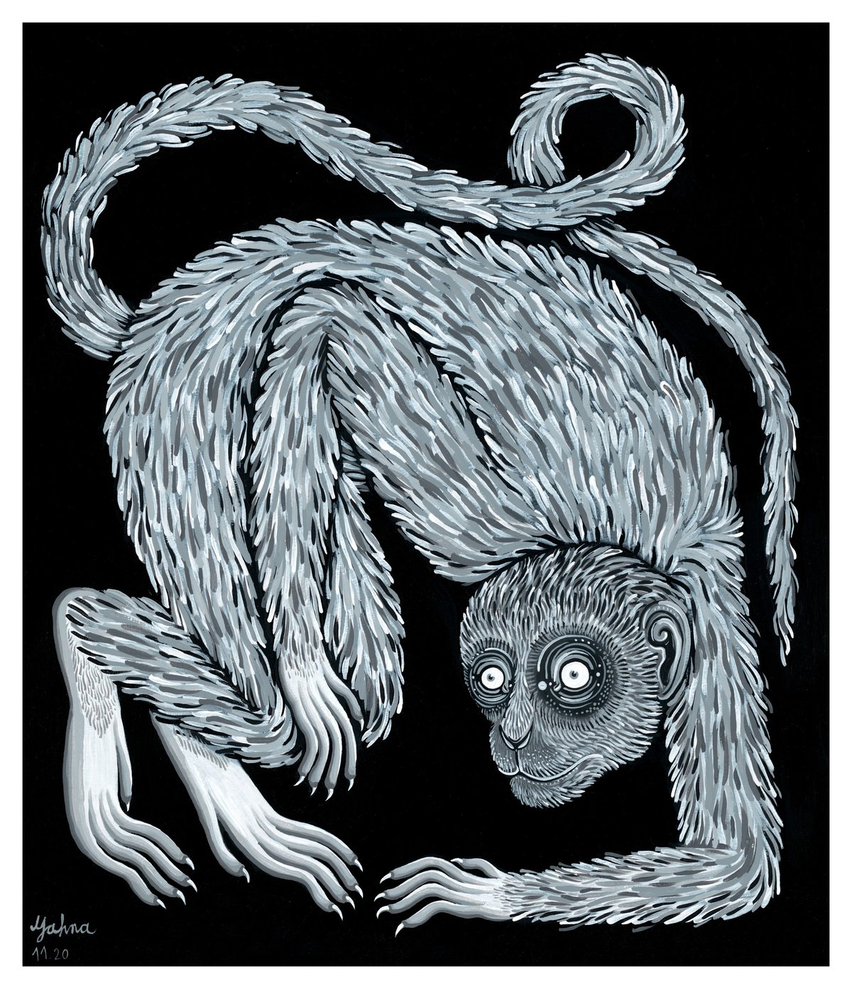 Image of Monkey