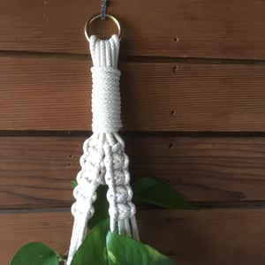 Image of Knotted Plant Hanger