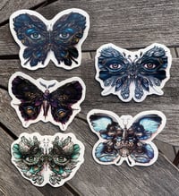 Image 2 of Lepidoptera 1–5 Pack O' Stickers