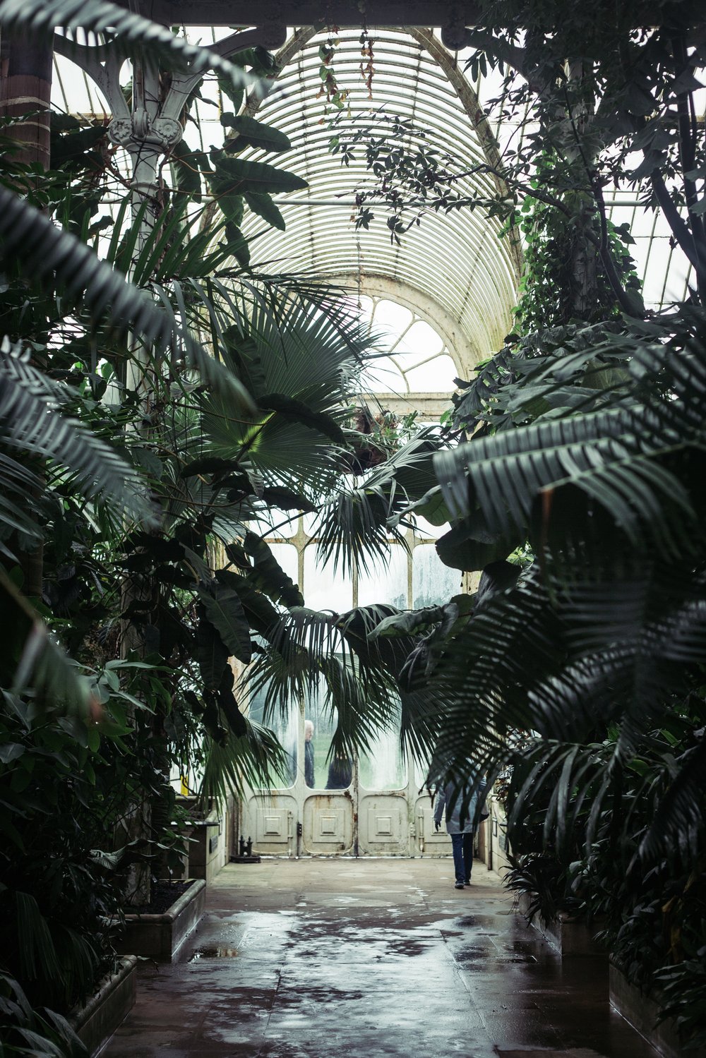 Image of Kew, 2018