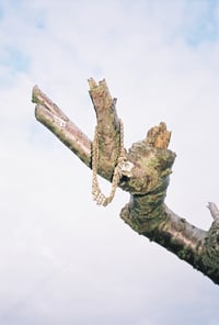 Chain on Branch Print