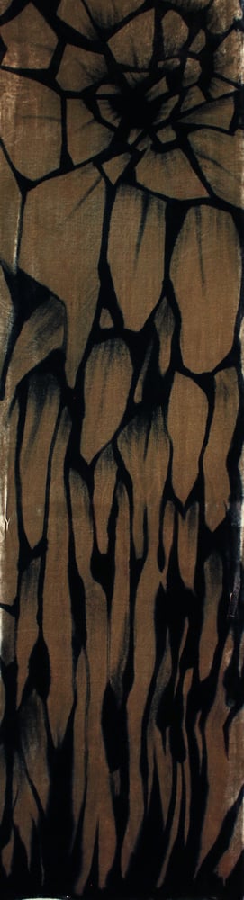 Image of OLIVE AND BLACK VELVET SHAWL