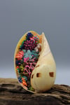 Coral Reef Inspired Hand Embroidery set in an Indian Melon Shell