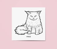 Image 1 of Postcard Ghostcat