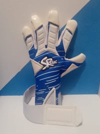 SRGK ADULTS RAPTORS AQUA