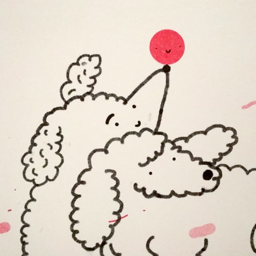 Image of POODLES