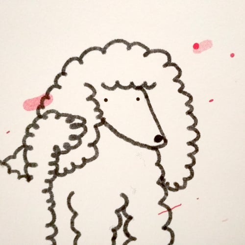 Image of POODLES