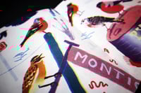 Image 2 of Ave Aves book