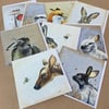 9 x Wildlife Greetings cards pack Free P&P uk