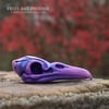 Fancy Bird Skull - Violet