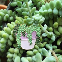 Succulent Pin
