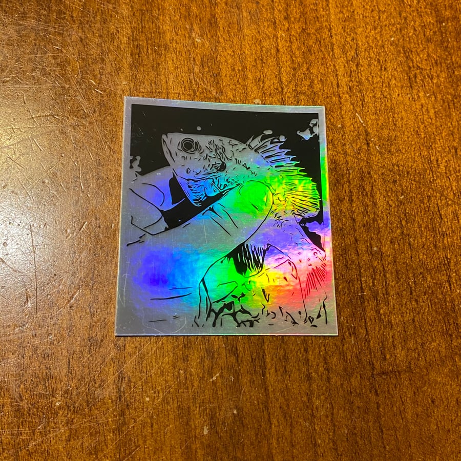 Image of Catch of the Day Sticker