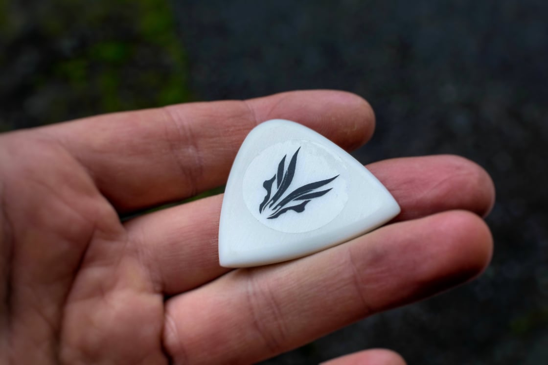 Image of 4mm 'Ertalyte® PET-P' plectrums