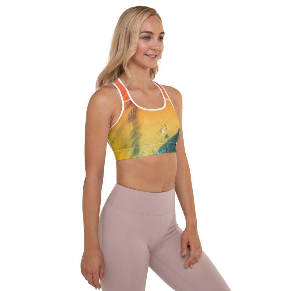 Padded Yoga Sports Bra