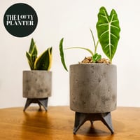 The Lofty Planter