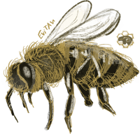 Image 2 of Evitan Honeybee on Black