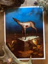 “Deer in blue” Fine Art Print