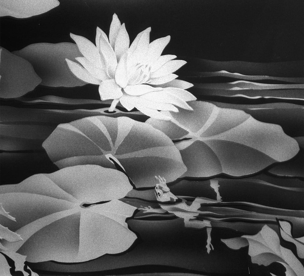 Image of Water Lily with a Frog Black and White Note Cards