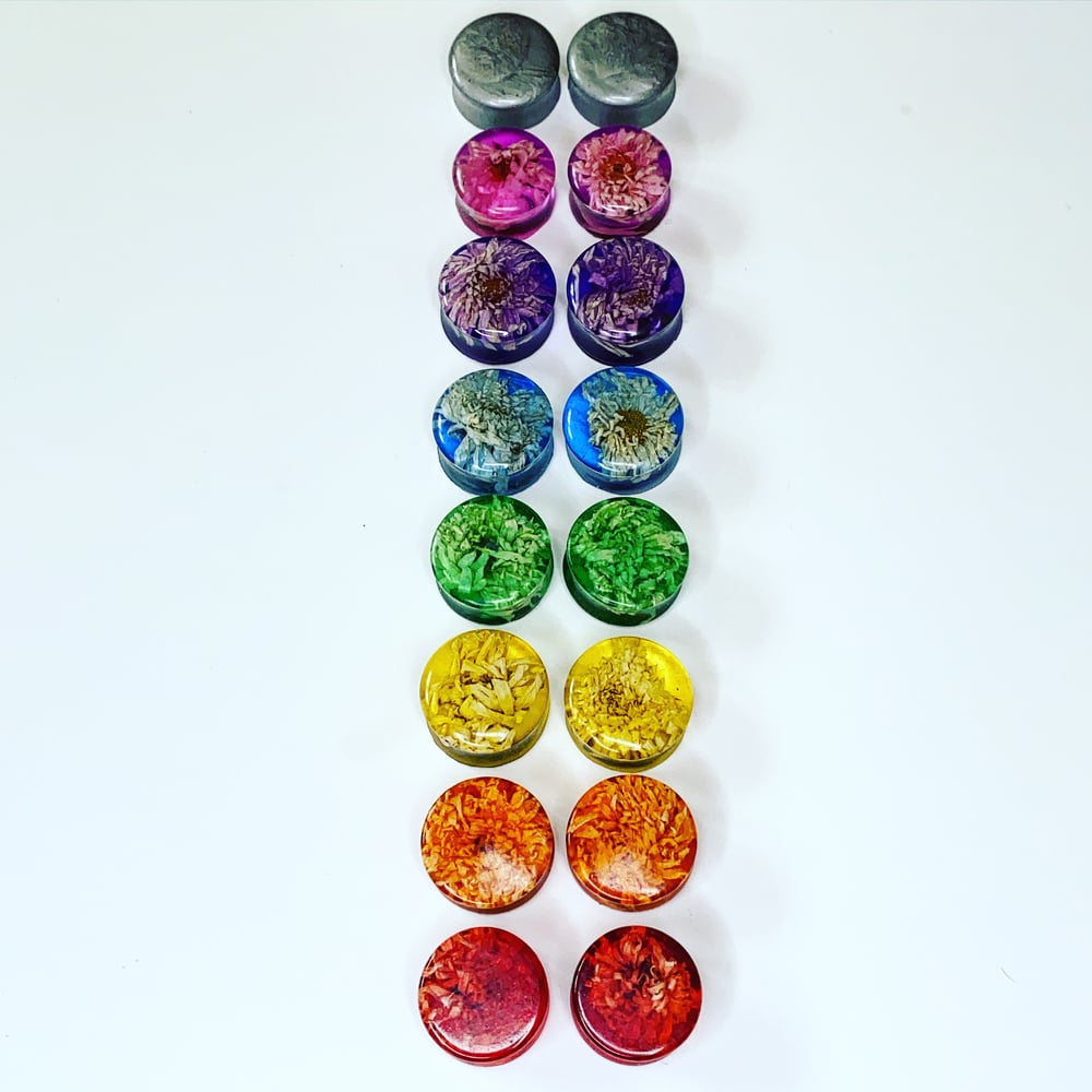 Image of The Chakra Collection 