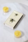 Honey Bee Match Box