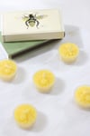 Honey Bee Beeswax Tea Light Candles