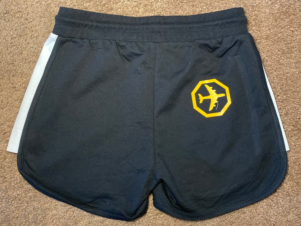 Image of FLY Shorts - Black 