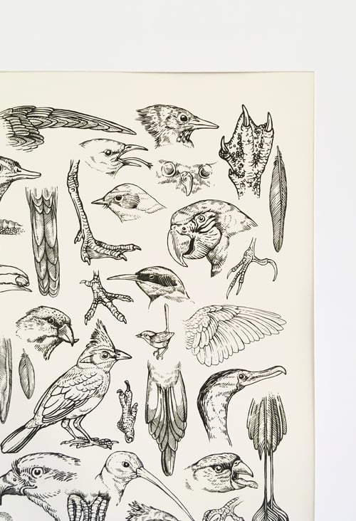 Image of Aviary Poster Print