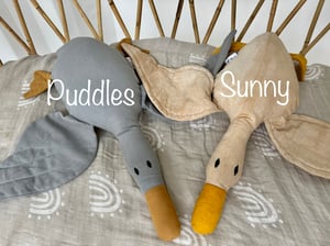 Image of Cuddle Ducks