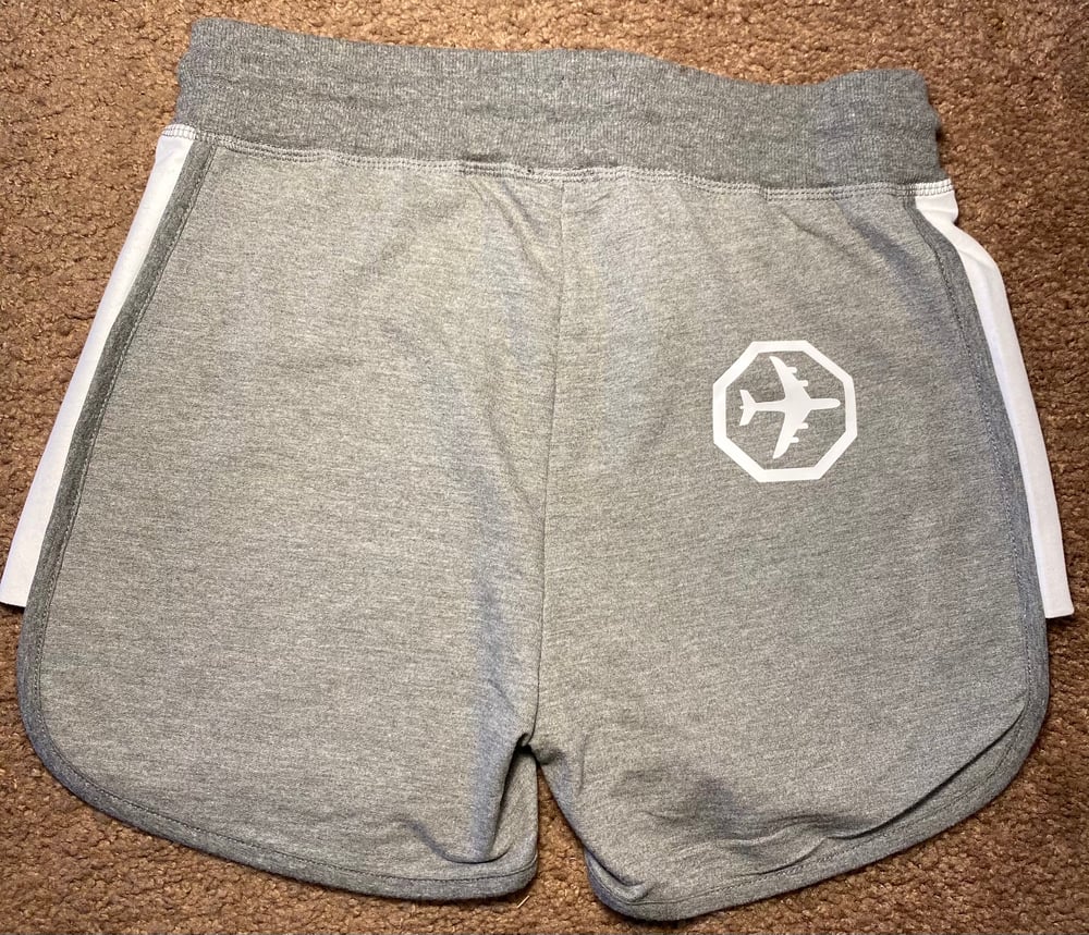 Image of FLY Shorts - Gray