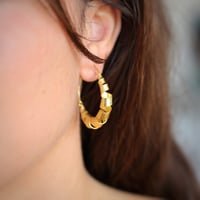 Image 2 of Spiral Gold Hoops