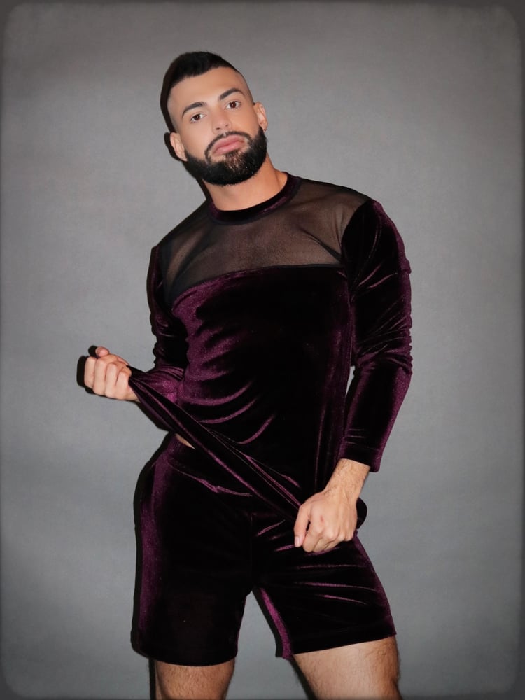 Image of THE AUBERGINE HINT L-SLEEVE