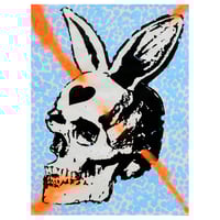 BUNNY 