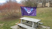 Image of Full Size Pony Flags 