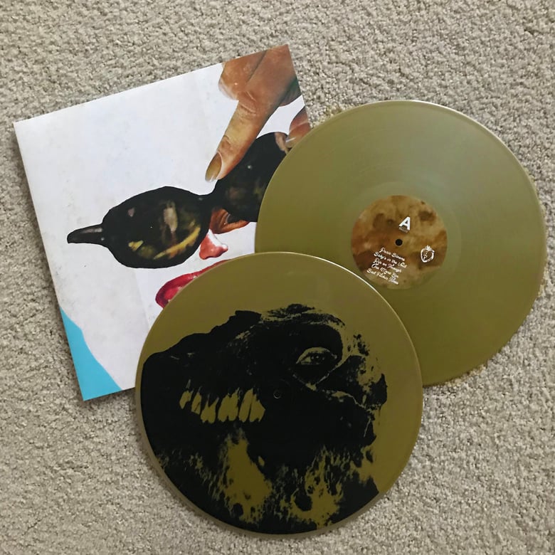 Image of Black Moth Super Rainbow "Panic Blooms" Gold 2xLP
