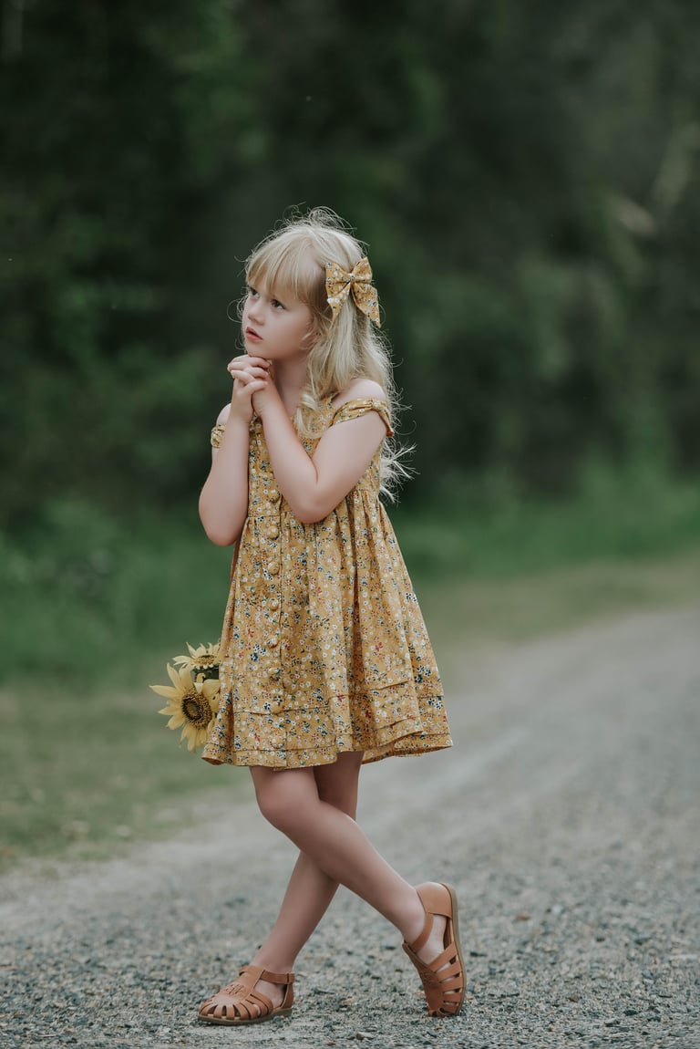 Lilou Dress Image 3