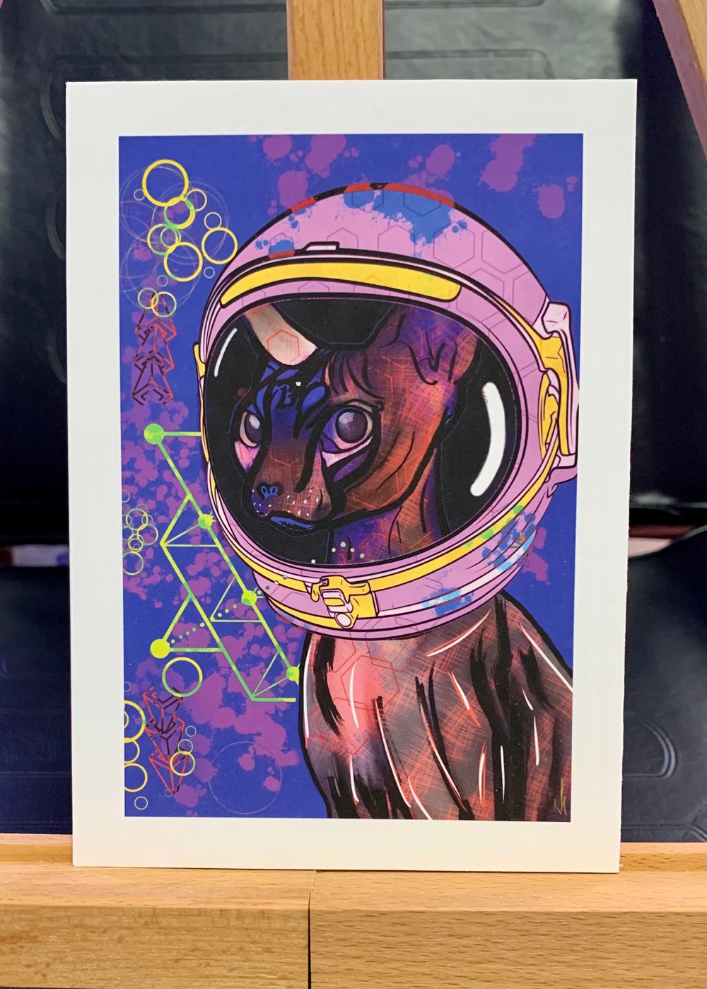 Space Cat 5x7 LE (Direct Shipped)