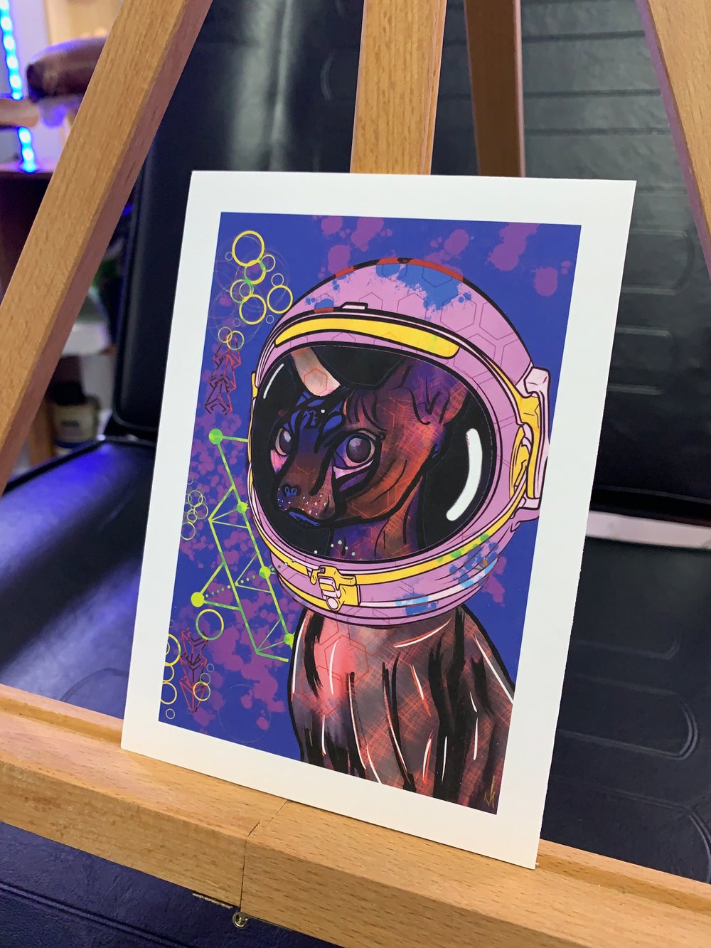 Space Cat 5x7 LE (Direct Shipped)