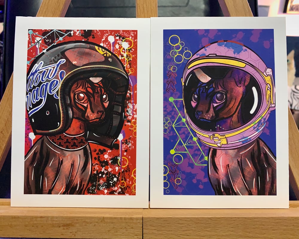 Space Cat 5x7 LE (Direct Shipped)