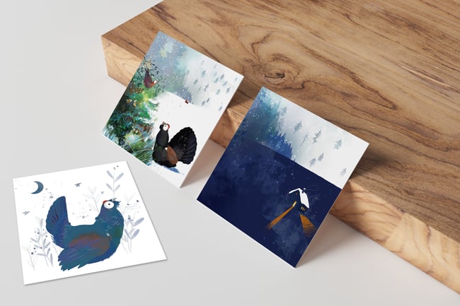 Lot 3 Cartes postales Hiver