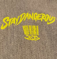 Image 3 of 2520 X CHAMPION "STAY DANGEROUS" HOODIE - OXFORD GRAY