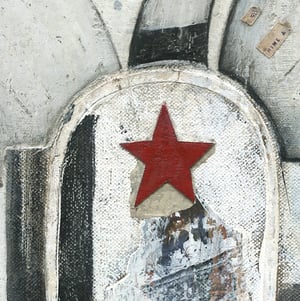 Image of Red Star Swan
