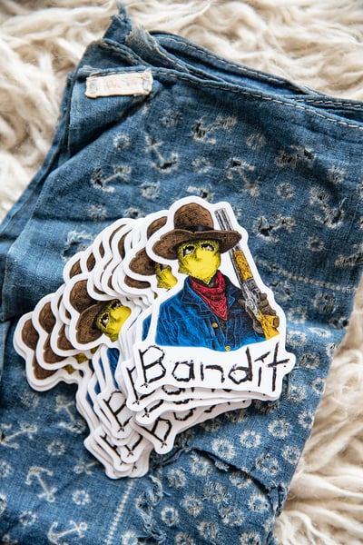 Image of Bandit Die Cut Sticker