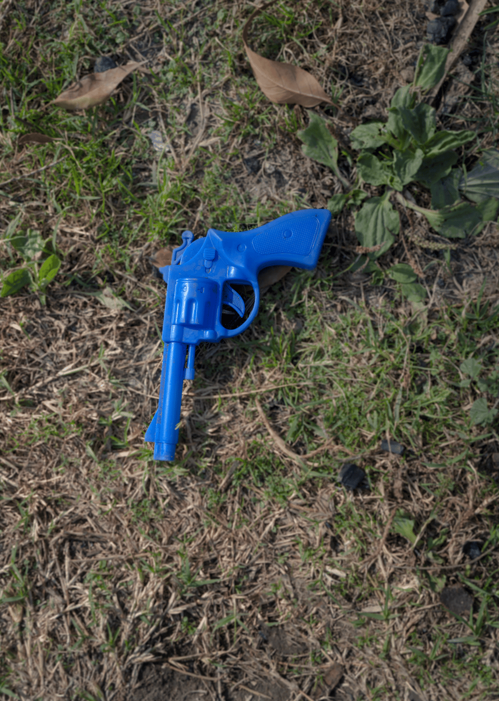 Image of Blue Gun, Los Angeles 12.12.20
