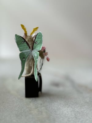 Image of Luna butterfly faux taxidermy mouse