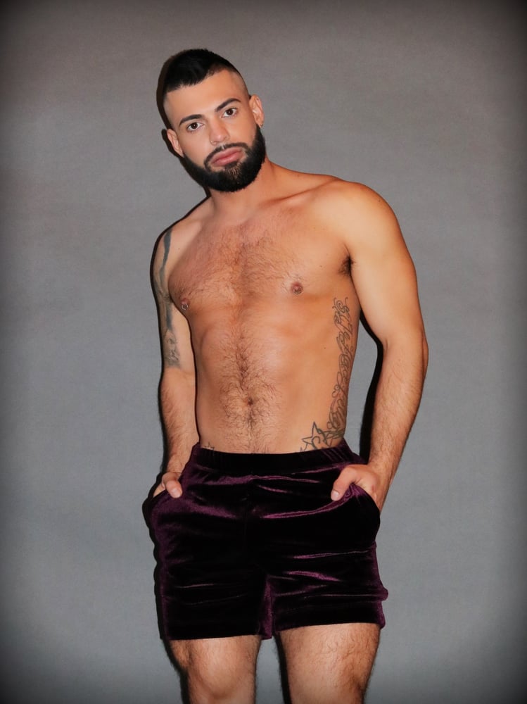 Image of THE AUBERGINE SHORTS