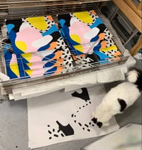 Image 5 of BOUNCE! ARTIST PROOF