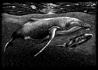 Image 1 of MOTHER WHALE