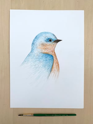 "Bluebird" 1st edition print