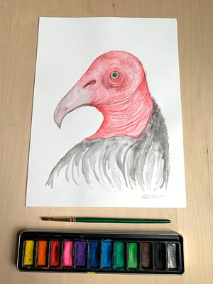 "Turkey Vulture" 1st edition print